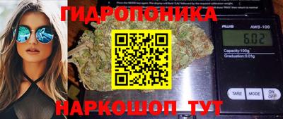 jwh Пенза