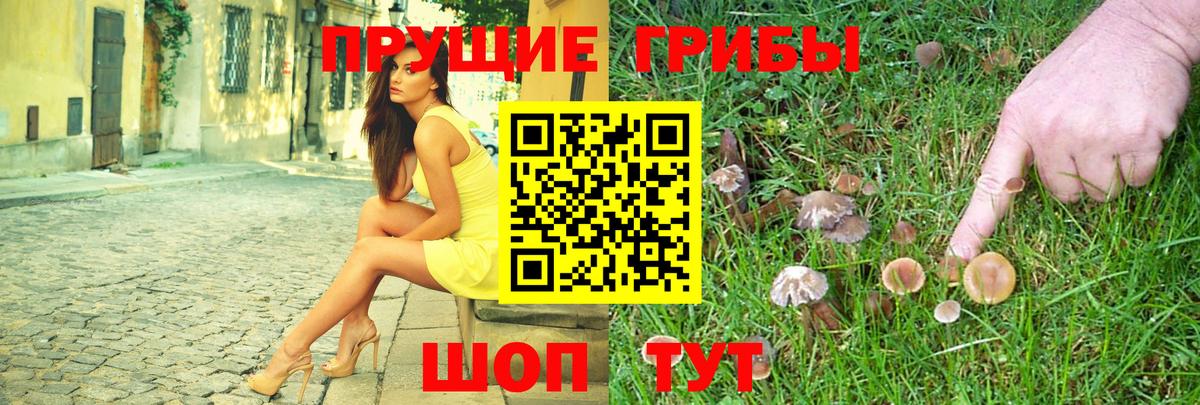продажа наркотиков  Галлюциногенные грибы Magic Shrooms  Вход с VPN  Тамбов  Псилоцибиновые грибы MAGIC MUSHROOMS 